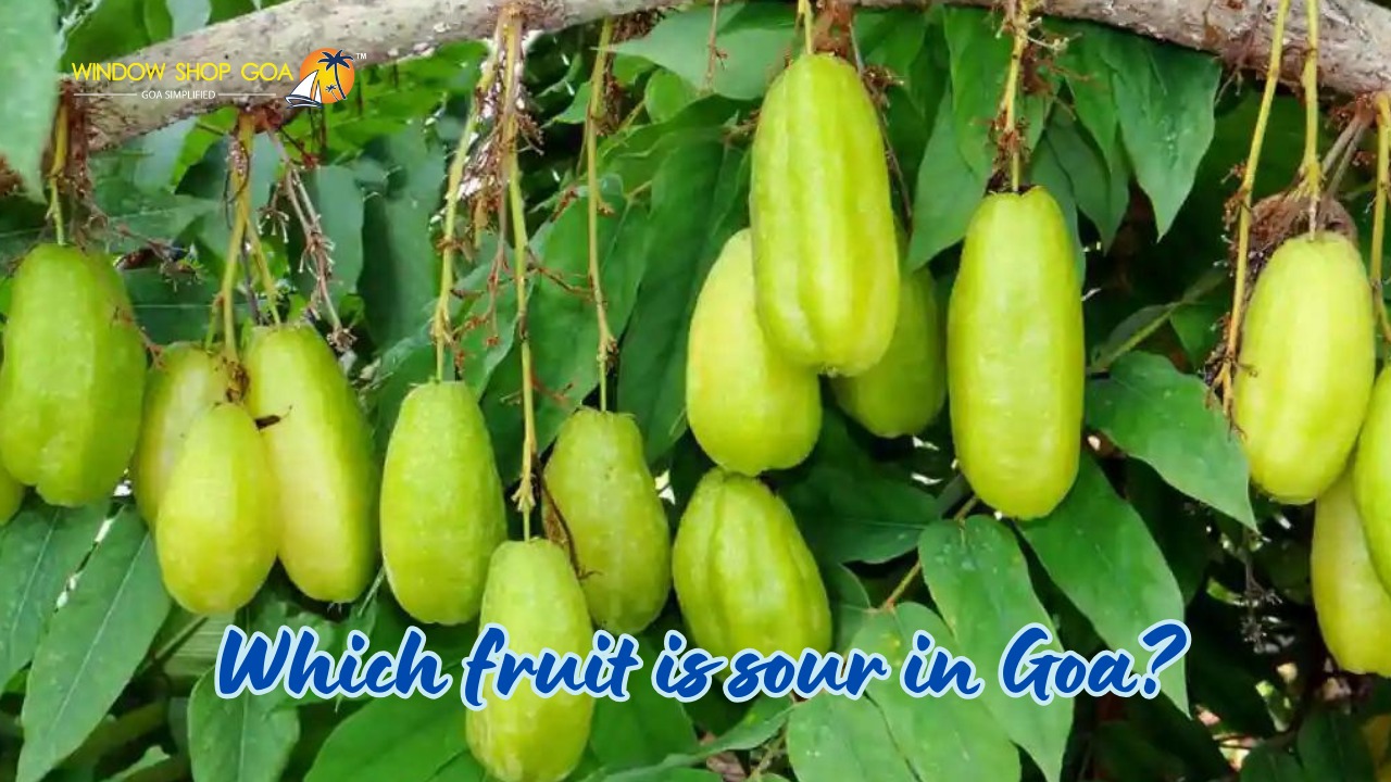 which fruit is sour in Goa?